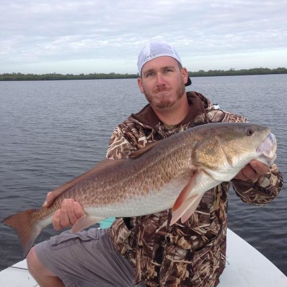 Meet your Posher, Alex - Picture 1 of 1